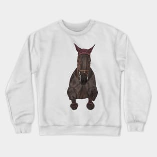 Seal Bay Show Jumper Front Crewneck Sweatshirt